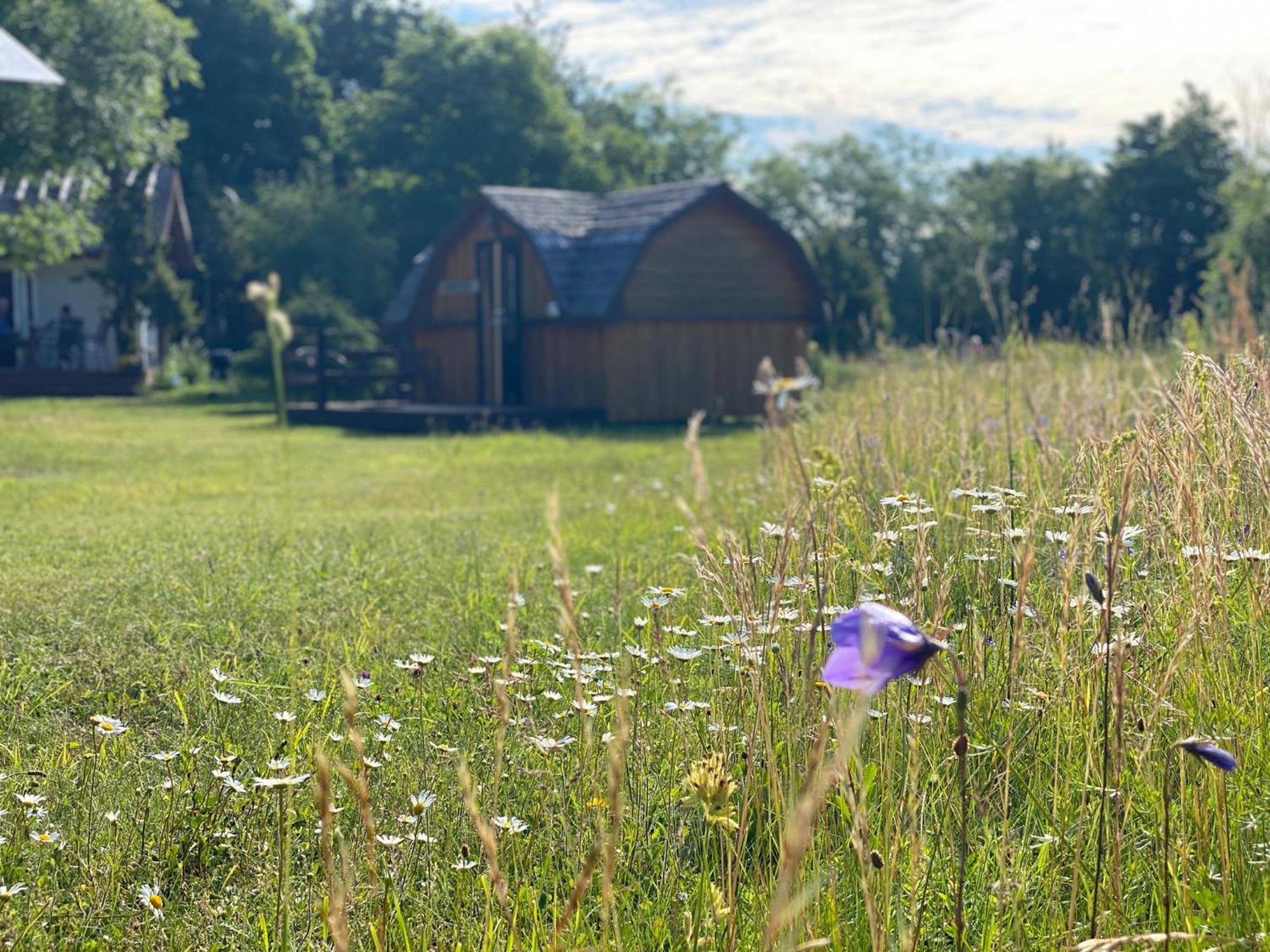 Kaespri Farmstay Koguva Esterno foto