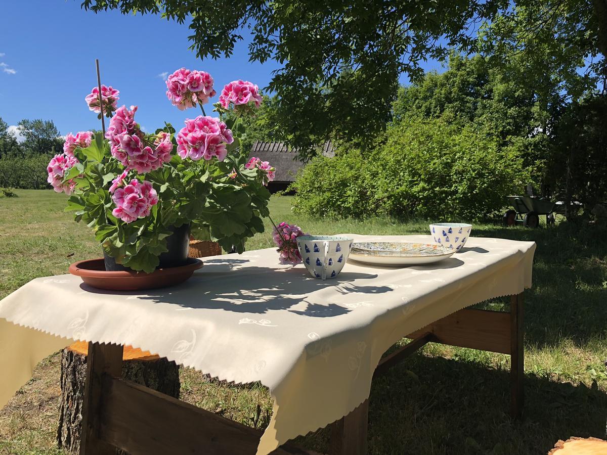 Kaespri Farmstay Koguva Esterno foto
